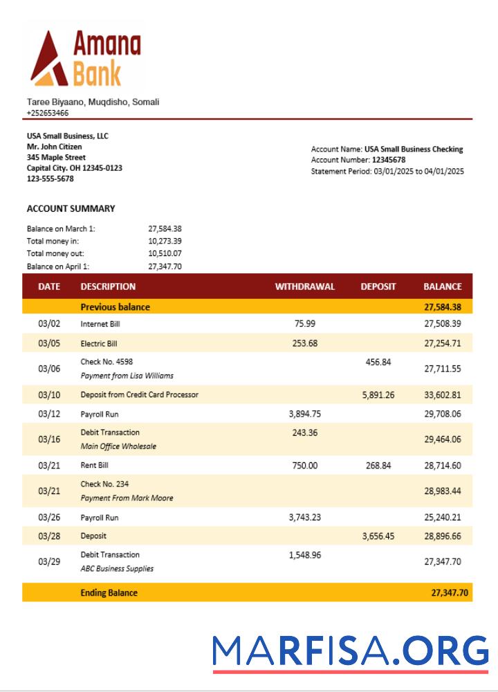Printable Somalia Amana business checking account statement Word and PDF template